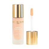 perfect concealer correttore 30